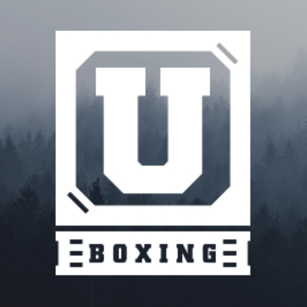 Ultimatum Boxing - основатель компании Сергей Иванютин представл