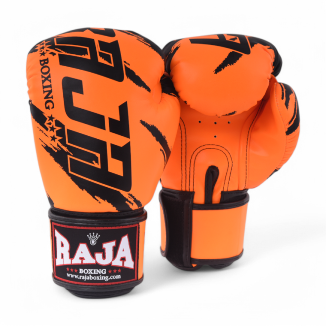 Боксерские перчатки Raja RBGV-V3