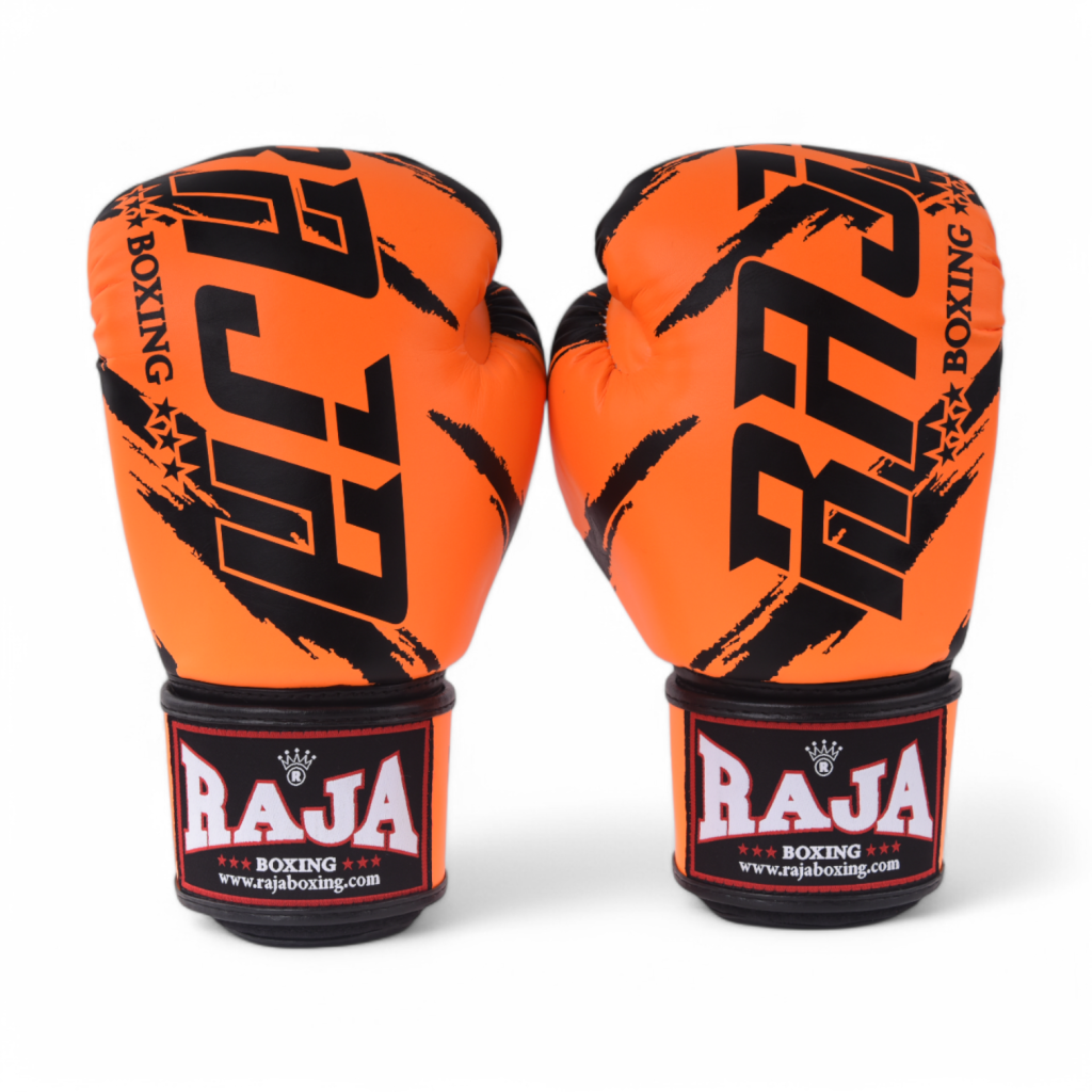 Боксерские перчатки Raja RBGV-V3