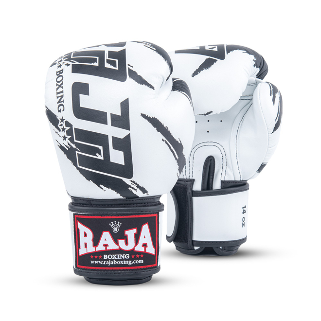 Боксерские перчатки Raja RBGV-V3