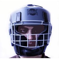 Боксерский шлем ROYAL HGR-tws-IG-L