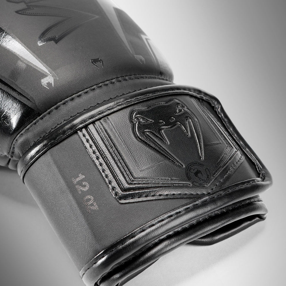 Боксерские перчатки Venum Elite Evo Black/Black