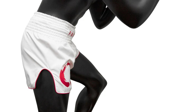 Шорты Fairtex BS1918 Enso