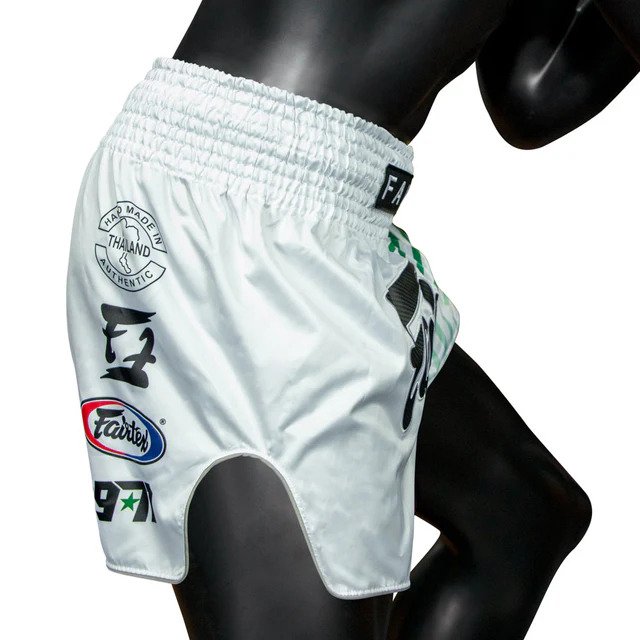 Шорты Fairtex Racer