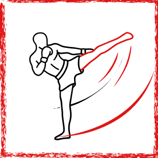 Кикбоксинг