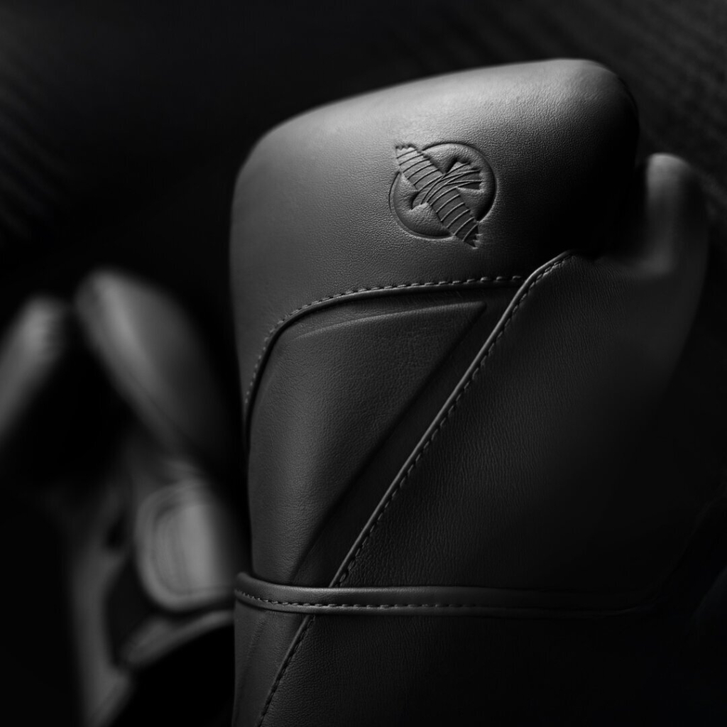 Боксерские перчатки Hayabusa E1 Onyx Black