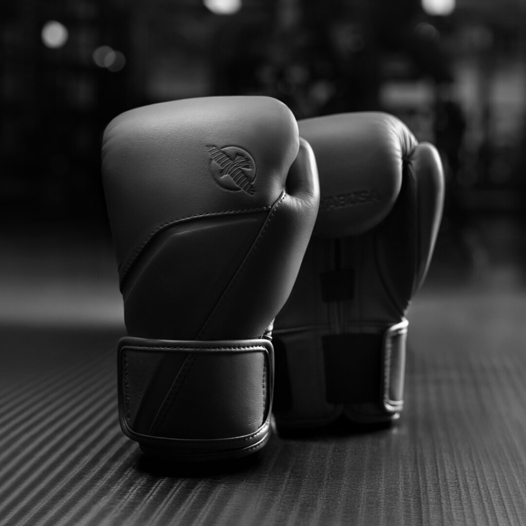 Боксерские перчатки Hayabusa E1 Onyx Black