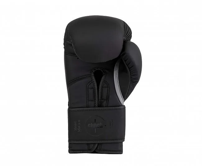 Перчатки боксерские Clinch Mist 2.0 Перчатки боксерские Clinch Mist 2.0