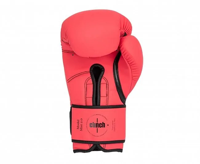Перчатки боксерские Clinch Mist 2.0