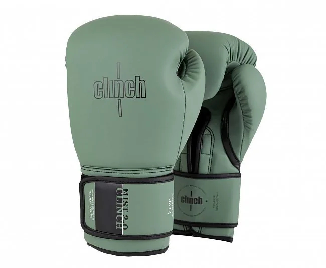 Перчатки боксерские Clinch Mist 2.0