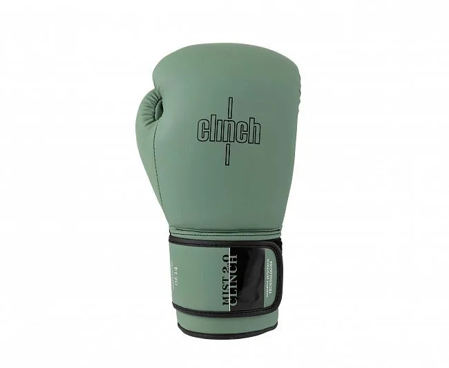 Перчатки боксерские Clinch Mist 2.0