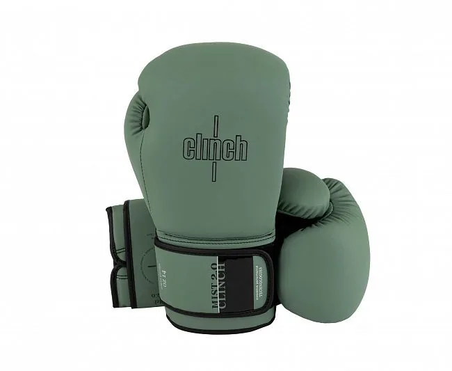 Перчатки боксерские Clinch Mist 2.0