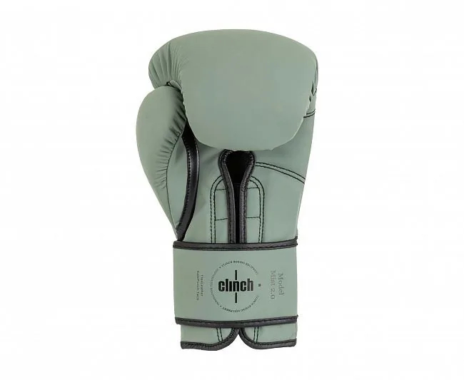 Перчатки боксерские Clinch Mist 2.0