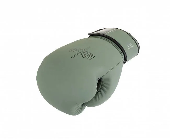 Перчатки боксерские Clinch Mist 2.0