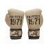 Боксерские перчатки BGV25 F-DAY2 FAIRTEX LIMTED EDITION