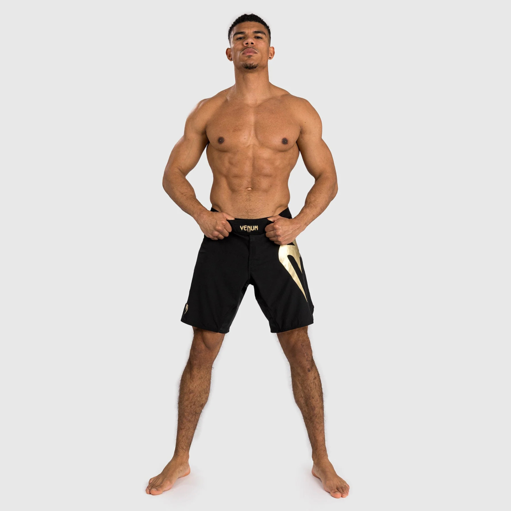 Шорты Venum Light 5.0 - Black/Gold Шорты Venum Light 5.0 - Black/Gold