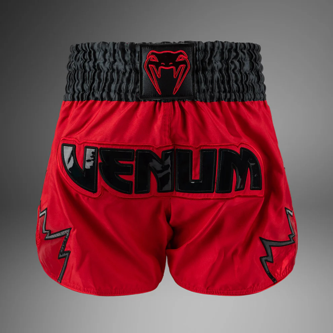 Шорты Venum Inferno
